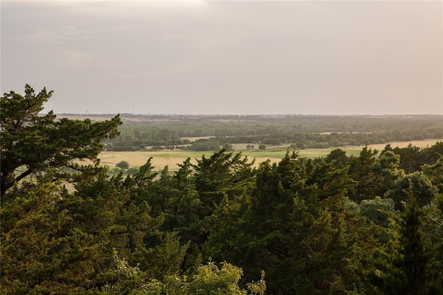 view of local wilderness