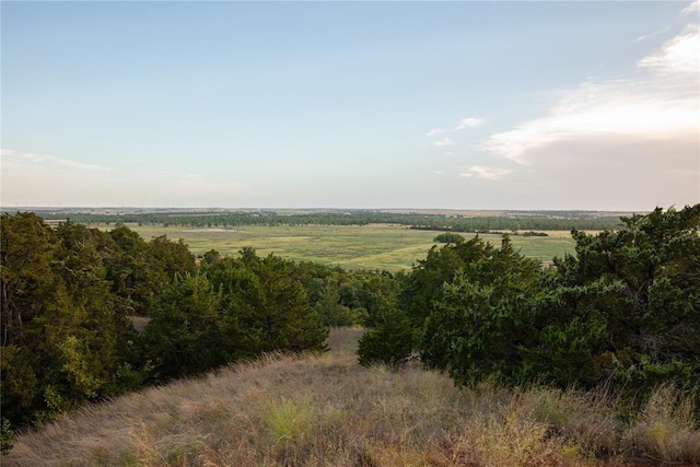 view of nature with a rural view