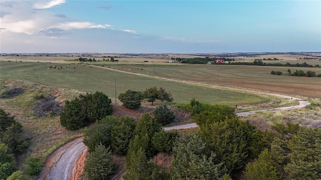 drone / aerial view featuring a rural view