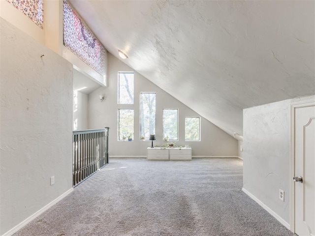 additional living space with a healthy amount of sunlight, carpet flooring, a textured wall, and baseboards