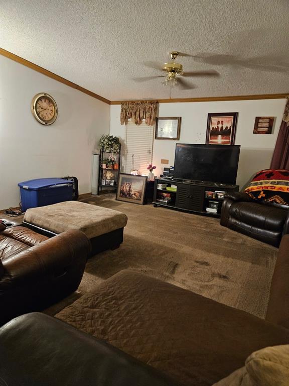 carpeted living area with a textured ceiling, ceiling fan, and ornamental molding