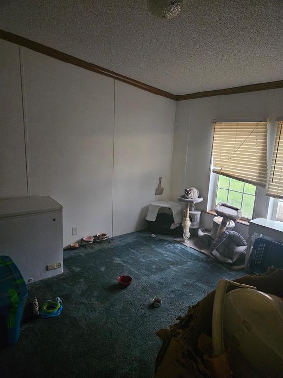 interior space featuring a textured ceiling, carpet floors, a decorative wall, and crown molding