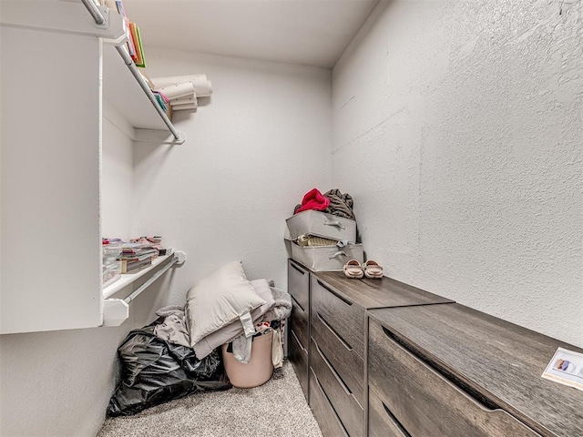 spacious closet featuring carpet flooring