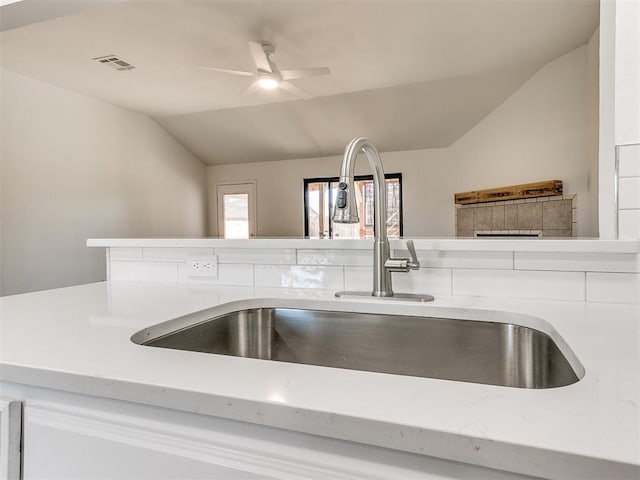 details featuring visible vents, a fireplace, a ceiling fan, and a sink