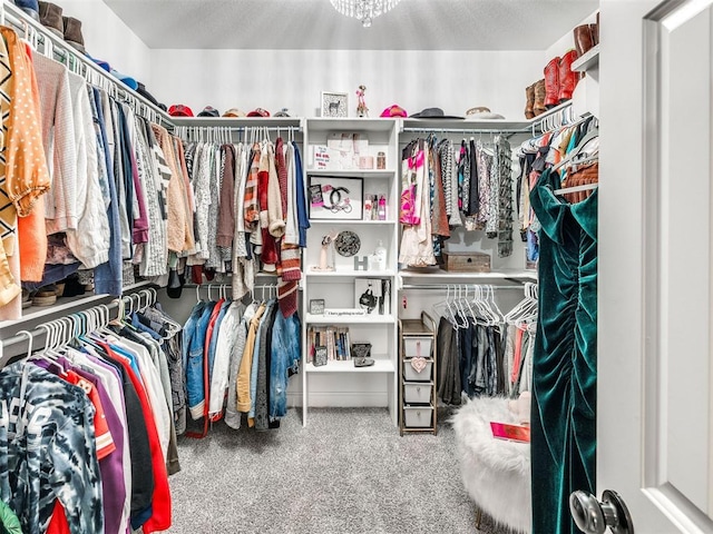 walk in closet featuring carpet flooring