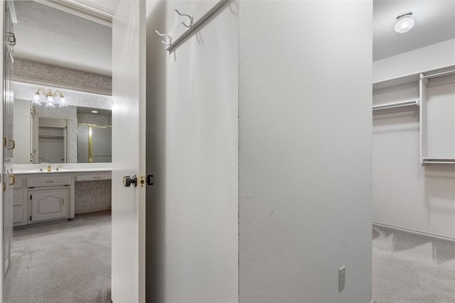 spacious closet featuring carpet floors