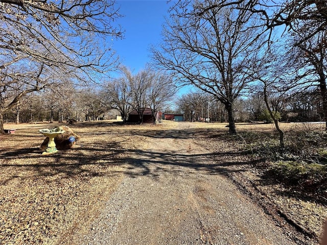 view of road featuring gravel driveway