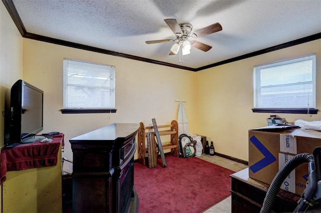 home office featuring carpet floors, crown molding, ceiling fan, a textured ceiling, and baseboards