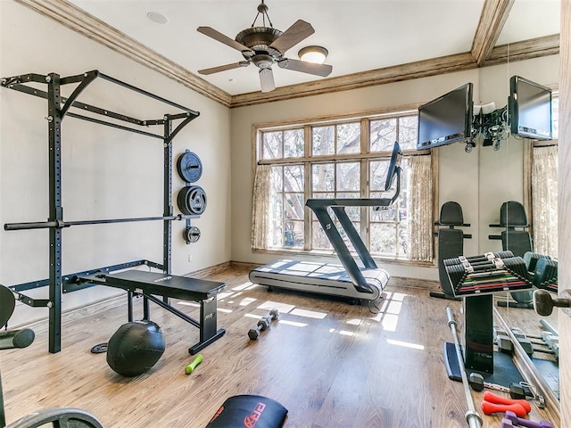 workout room featuring ornamental molding, plenty of natural light, wood finished floors, and baseboards