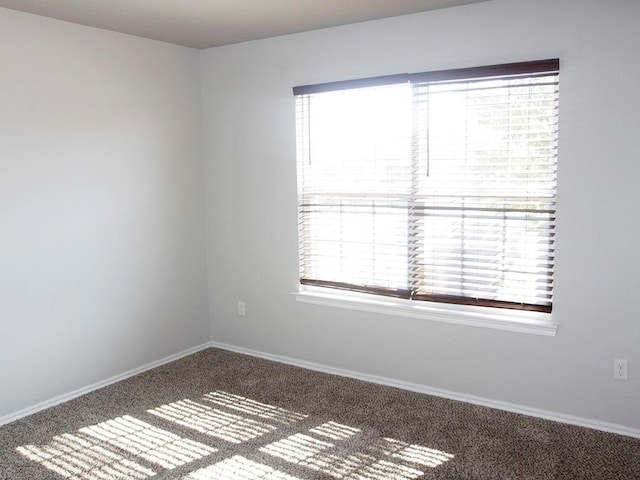 unfurnished room featuring a healthy amount of sunlight, carpet, and baseboards