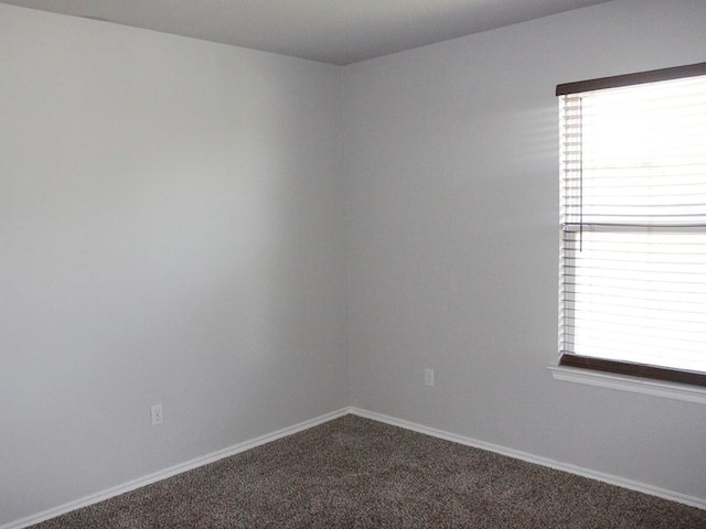 spare room with baseboards and carpet flooring