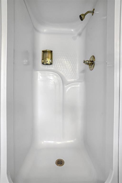 interior details with walk in shower