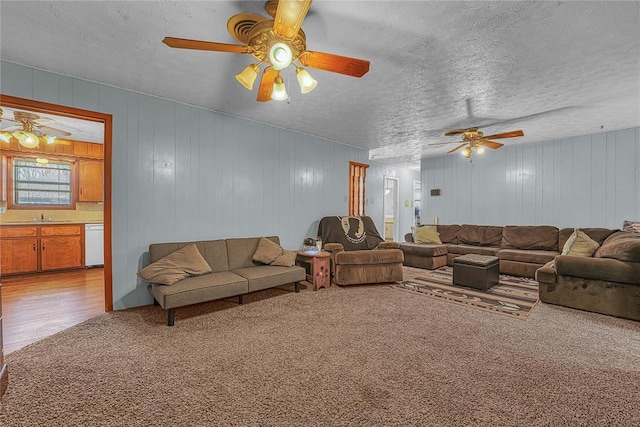 carpeted living room featuring ceiling fan, a textured ceiling, and a sink