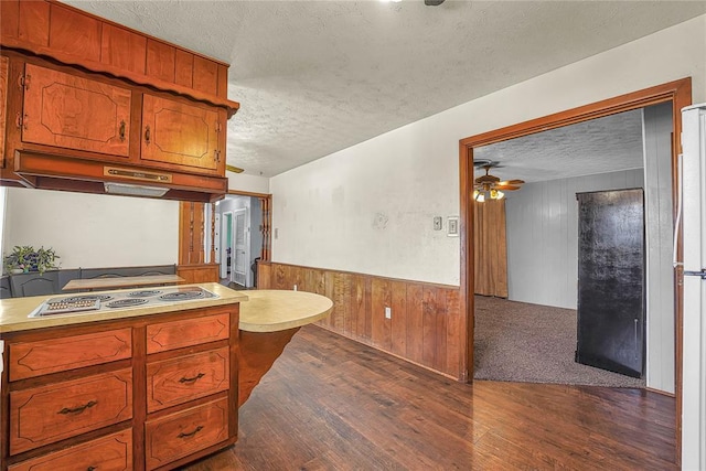 kitchen featuring a wainscoted wall, stainless steel cooktop, under cabinet range hood, and a textured ceiling