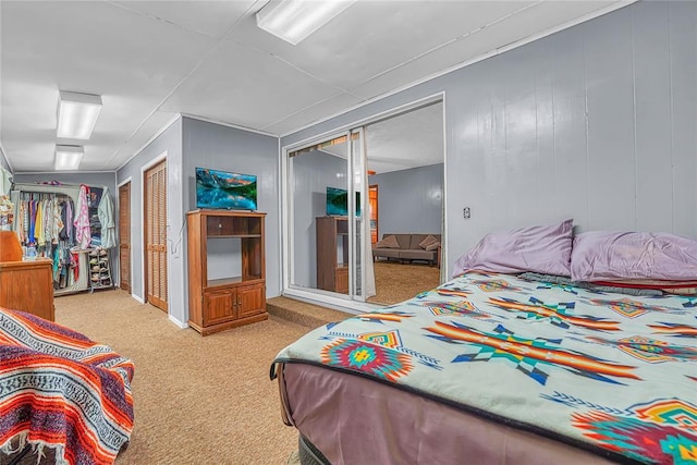 bedroom with carpet floors and a closet