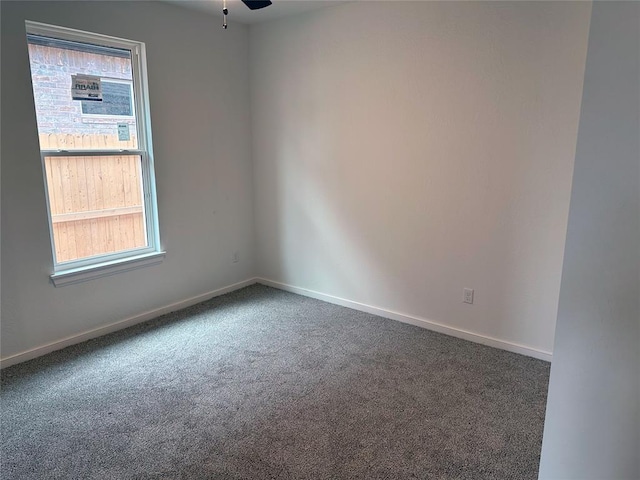 spare room with a ceiling fan, baseboards, a wealth of natural light, and carpet flooring