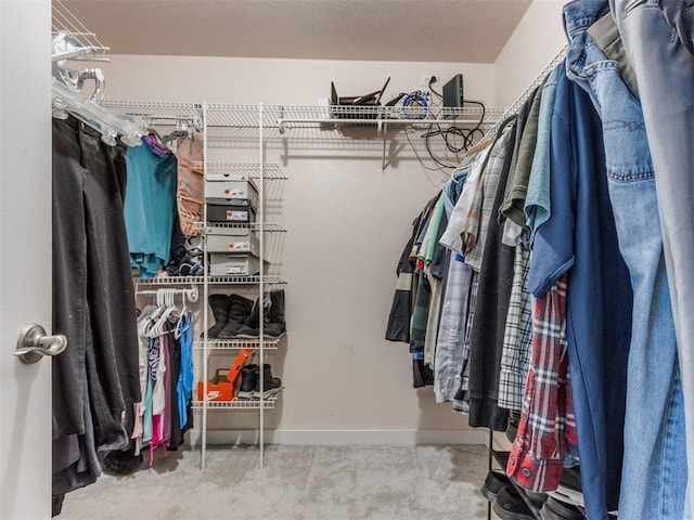 spacious closet featuring carpet floors