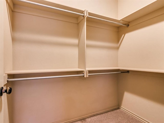 walk in closet with light colored carpet