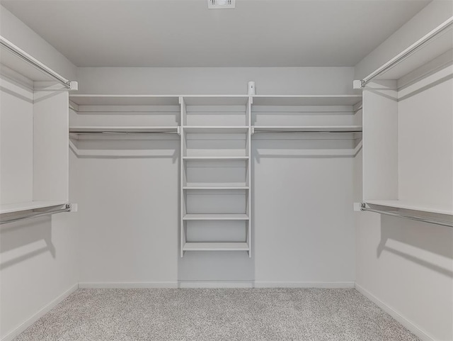 spacious closet featuring light carpet