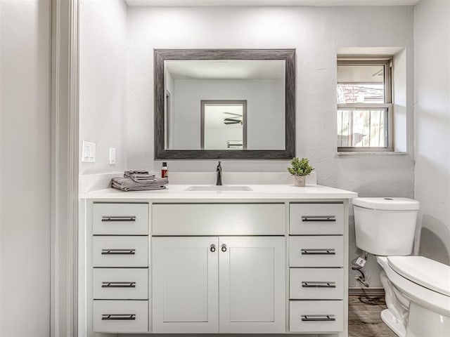 bathroom featuring vanity, toilet, and wood finished floors