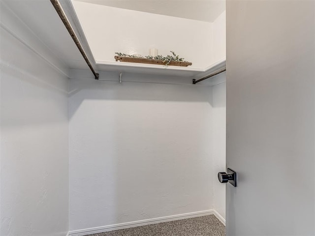 spacious closet featuring carpet floors