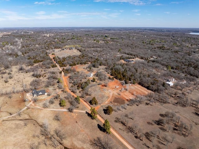 drone / aerial view featuring view of desert