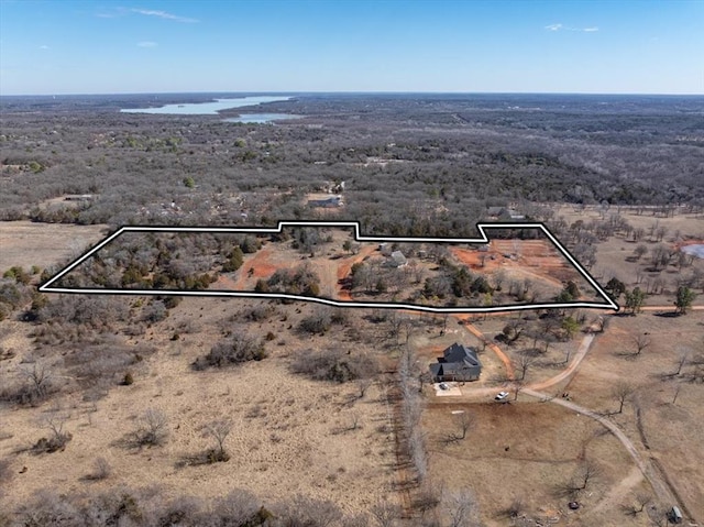 drone / aerial view with view of desert