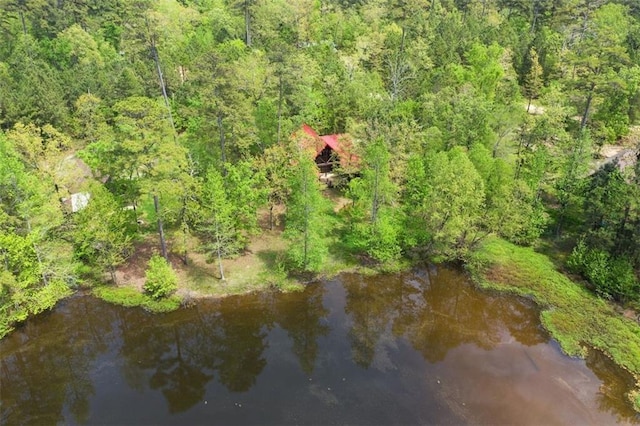 drone / aerial view featuring a water view and a view of trees