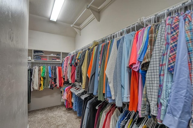 spacious closet featuring attic access and carpet flooring