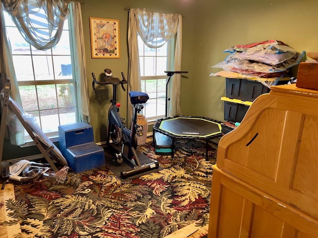 interior space with carpet floors and a healthy amount of sunlight