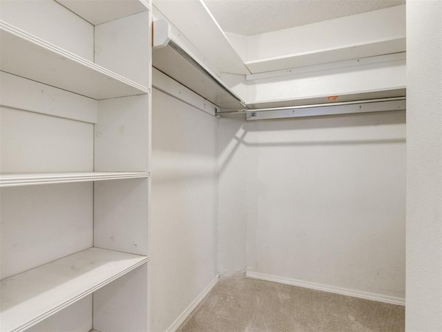 spacious closet with carpet