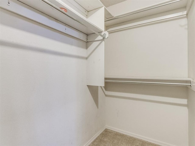 walk in closet with carpet flooring