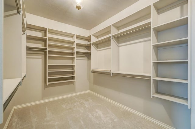 walk in closet with carpet flooring