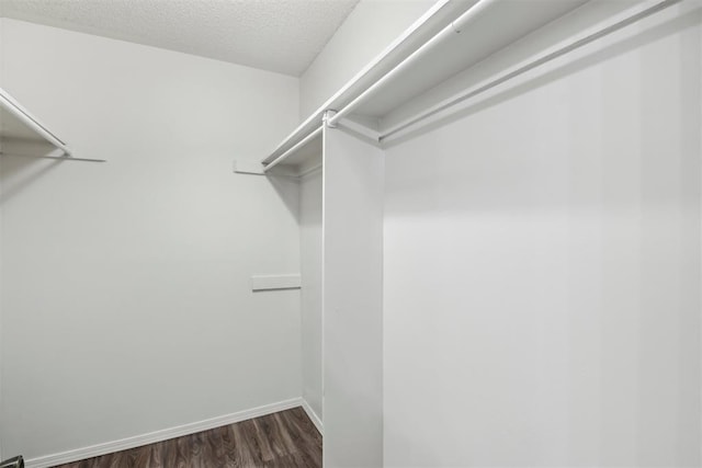 walk in closet with dark wood-style flooring