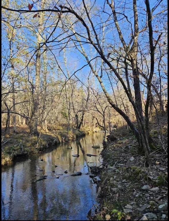 water view with a view of trees