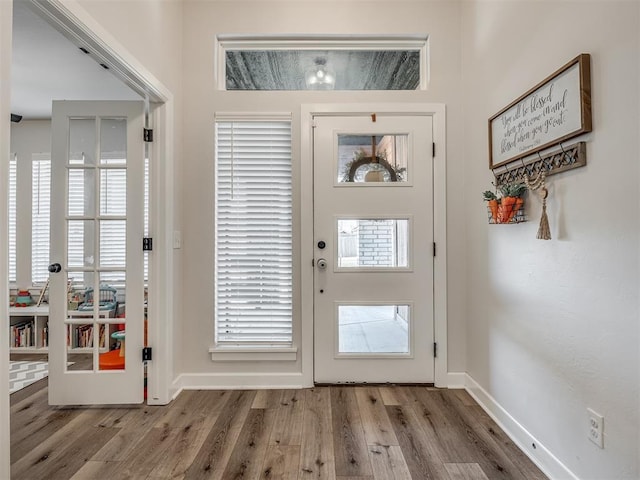 interior space featuring wood finished floors, a wealth of natural light, and baseboards