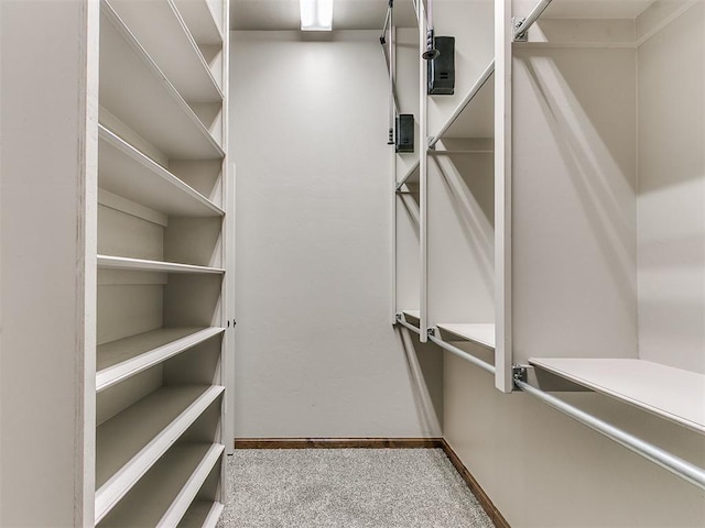 walk in closet with carpet