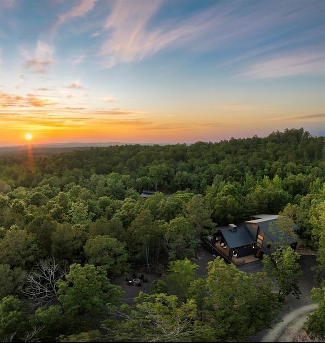 aerial view at dusk with a wooded view