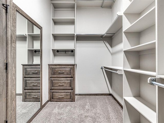 spacious closet featuring carpet