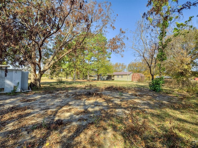 view of yard featuring an outdoor structure and a storage unit