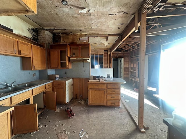 kitchen featuring a healthy amount of sunlight, brown cabinetry, and a sink