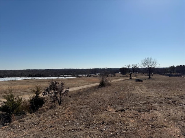 view of yard with a rural view