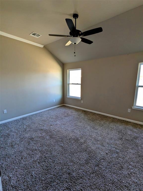 2402 Cattail Cir, Midwest City, OK 73130 - unfurnished room with vaulted ceiling, carpet, visible vents, and a healthy amount of sunlight