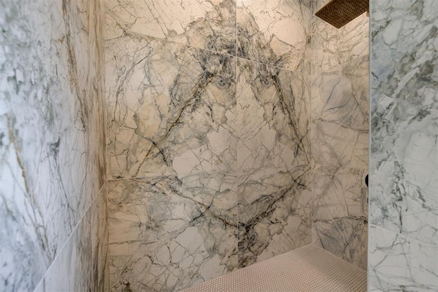 interior details featuring a marble finish shower