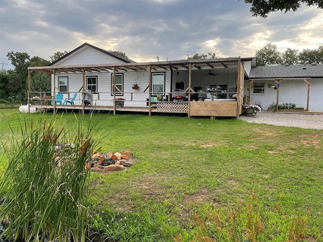 back of property featuring a lawn, a deck, and ceiling fan