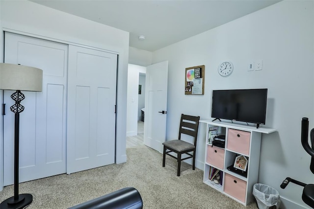 interior space with carpet floors