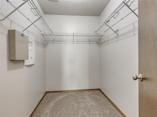 walk in closet with carpet