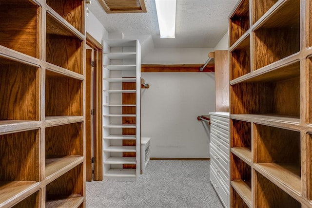 spacious closet with light colored carpet