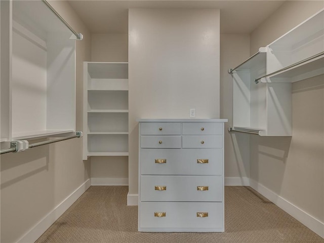 spacious closet with light colored carpet