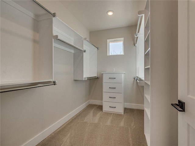 walk in closet featuring light colored carpet